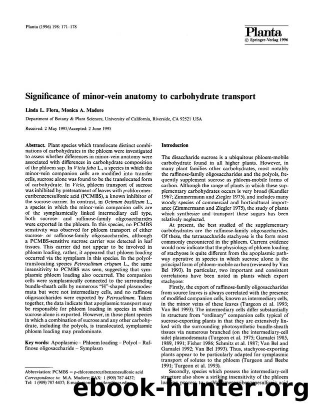 Significance of minor-vein anatomy to carbohydrate transport by Unknown