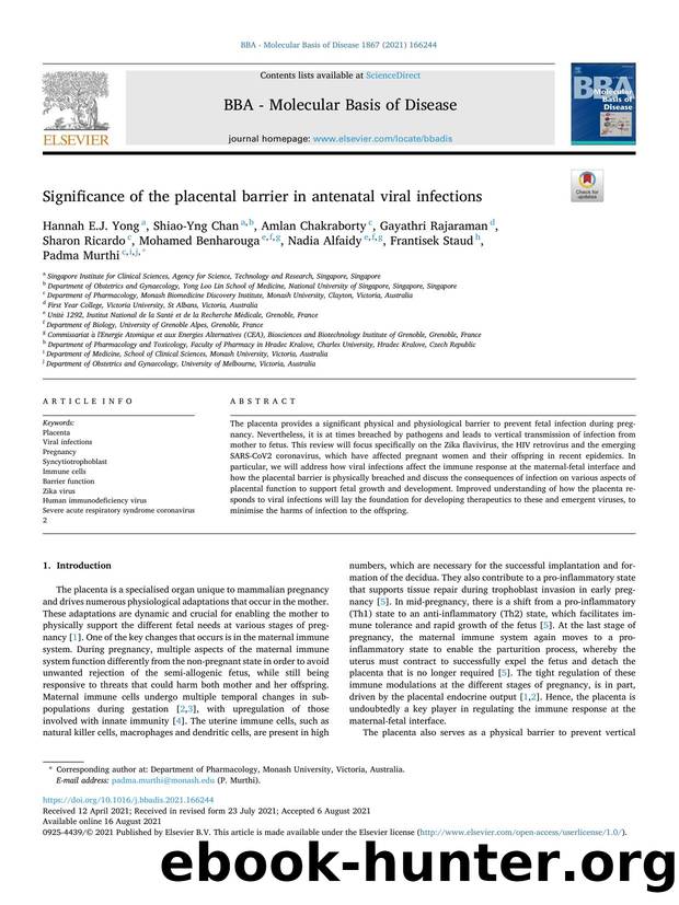 Significance of the placental barrier in antenatal viral infections by unknow