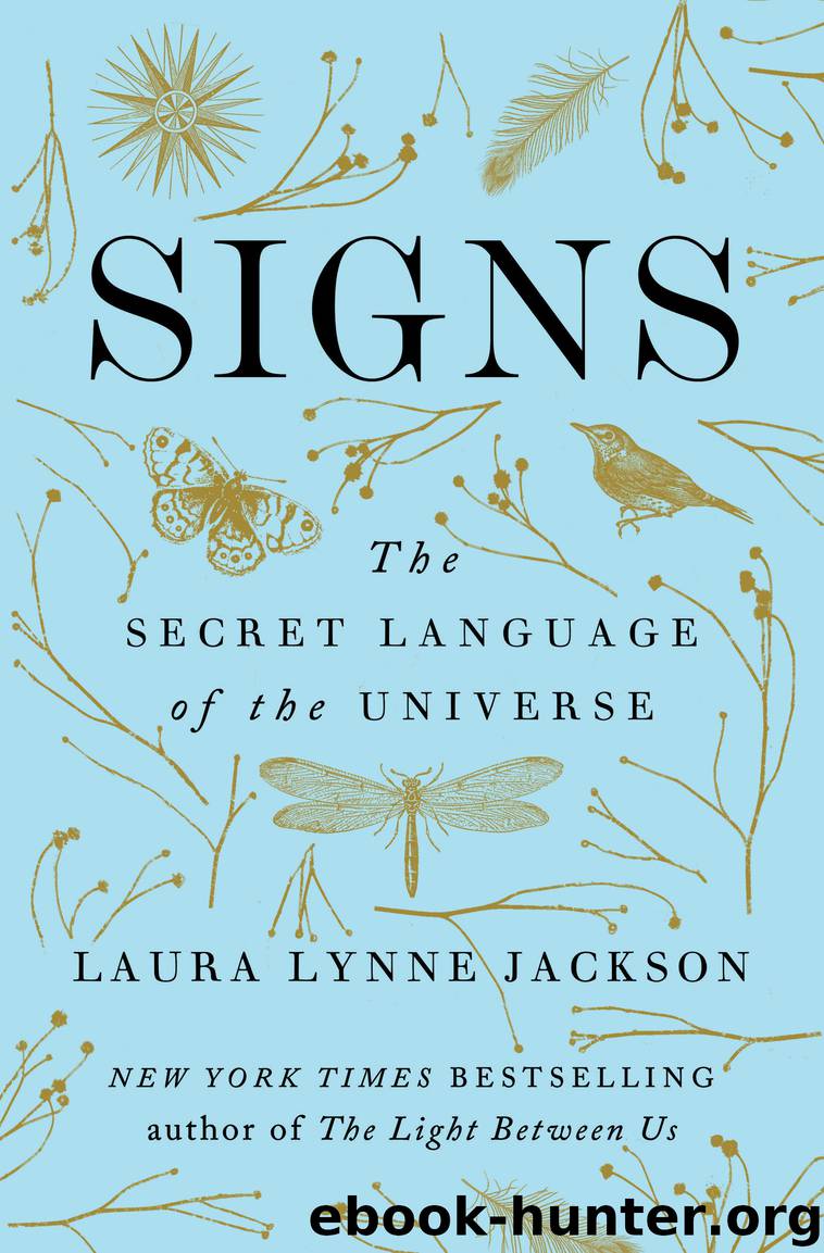 Signs by Laura Lynne Jackson