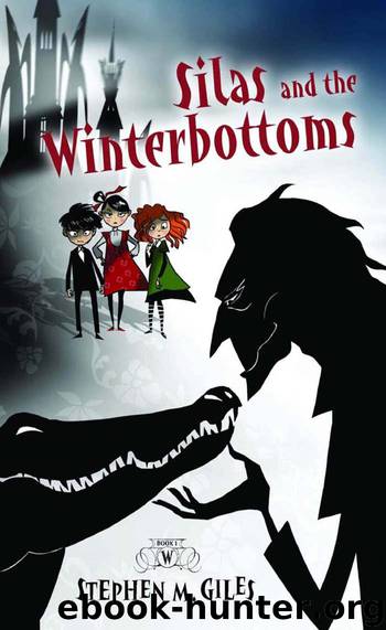 Silas and the Winterbottoms by Stephen M. Giles