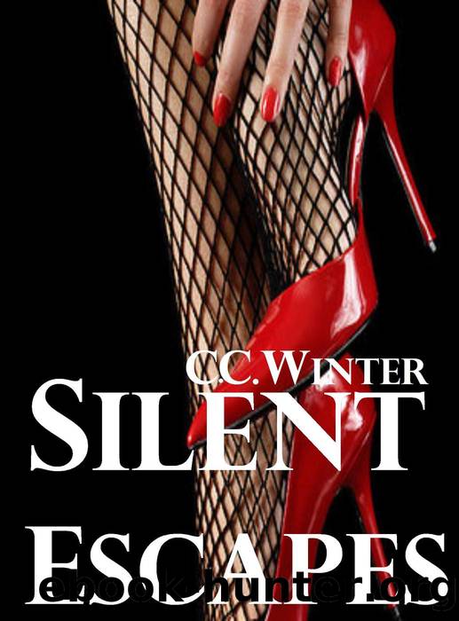 Silent Escapes#1 by C.C. Winter