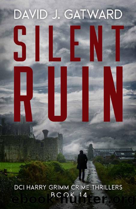 Silent Ruin (DCI Harry Grimm Crime Thrillers Book 14) by David J. Gatward