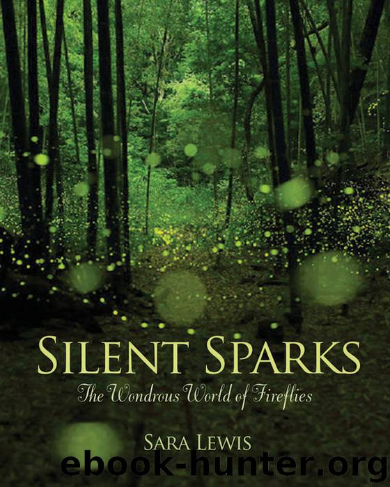Silent Sparks by Sara Lewis