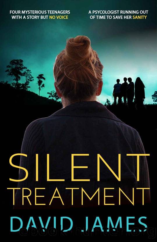 Silent Treatment by David James