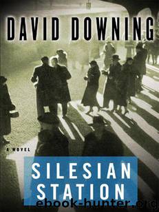 Silesian Station (2008) by David Downing