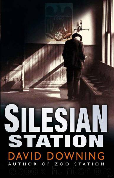 Silesian Station by David Downing