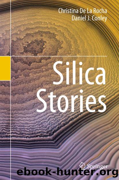 Silica Stories by Christina De La Rocha & Daniel J. Conley