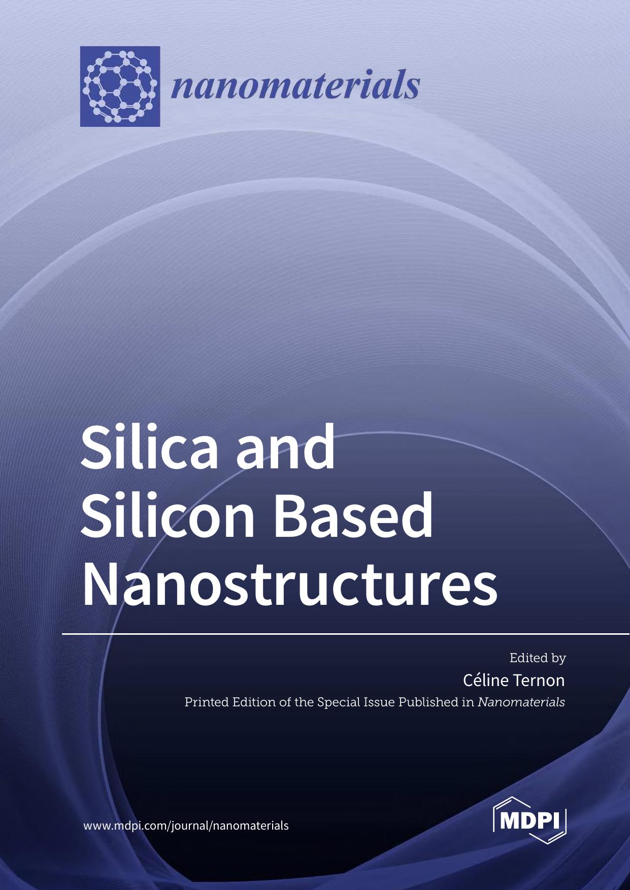 Silica and Silicon Based Nanostructures by Ternon C. (ed.)