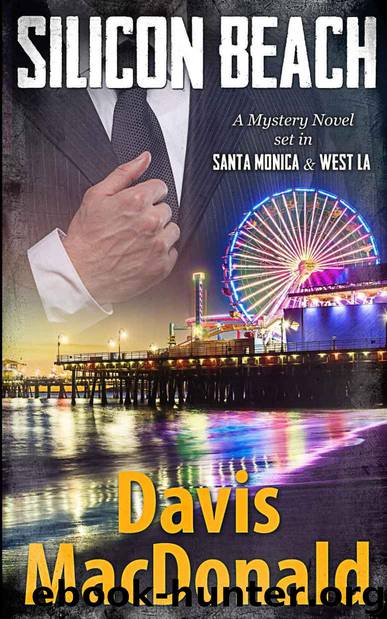 Silicon Beach by Davis MacDonald