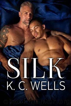 Silk (A Material World Book 3) by Wells K.C