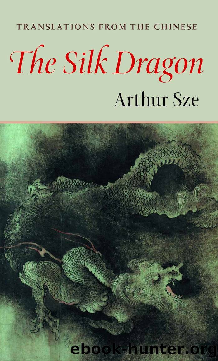 Silk Dragon by Sze Arthur