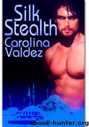 Silk Stealth by Carolina Valdez