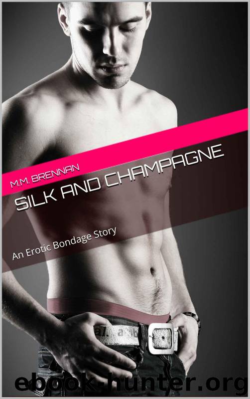 Silk and Champagne by M.M. Brennan