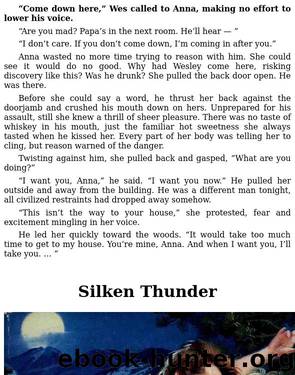 Silken Thunder by Fayrene Preston