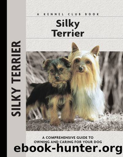 Silky Terrier by Alice J. Kane