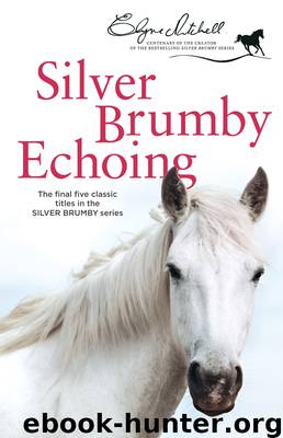 Silver Brumby Echoing