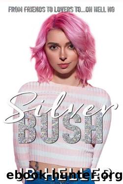 Silver Bush: A Stepbrother RomCom (Awkward Book 3) by JB Heller