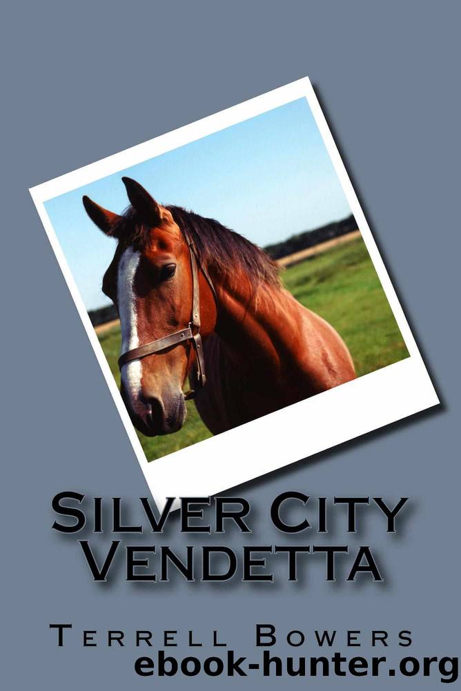 Silver City Vendetta by Terrell Bowers