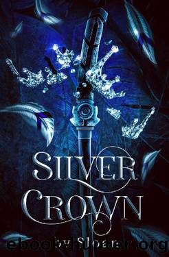 Silver Crown: (Book 3) (Violet Crown: Series) by bv Sloan