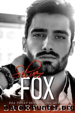 Silver Fox: Secret Child Romance Second Chance (Silver Brothers Securities Book 5) by Lacey Silks