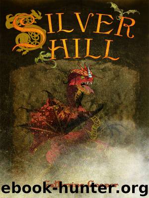 Silver Hill by Catherine Cooper