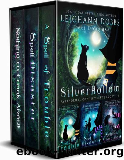 Silver Hollow Paranormal Cozy Mystery Books 1-3 (Silver Hollow Cozy Mysteries Box-Set) by Leighann Dobbs & Traci Douglass