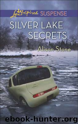 Silver Lake Secrets by Alison Stone
