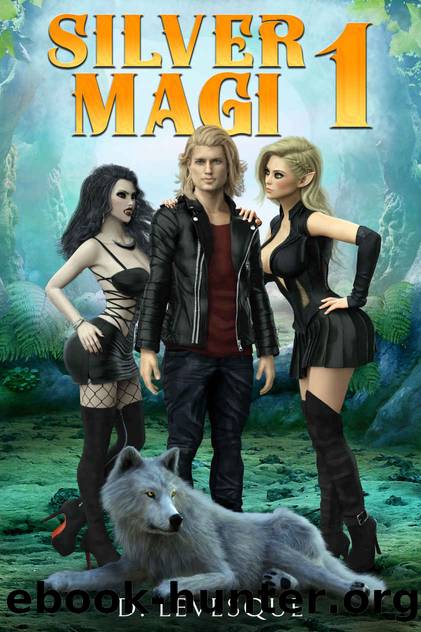 Silver Magi 1 by D. Levesque
