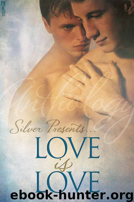 Silver Presents: Love is Love by Ander Lexi & York Sara & Hunt SammyJo & Dennis Nicole & Logan Patricia & Llewellyn A.J. & Manly D.J. & Pelaam & Yates Serena & Quinton Chris