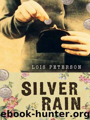 Silver Rain by Lois Peterson