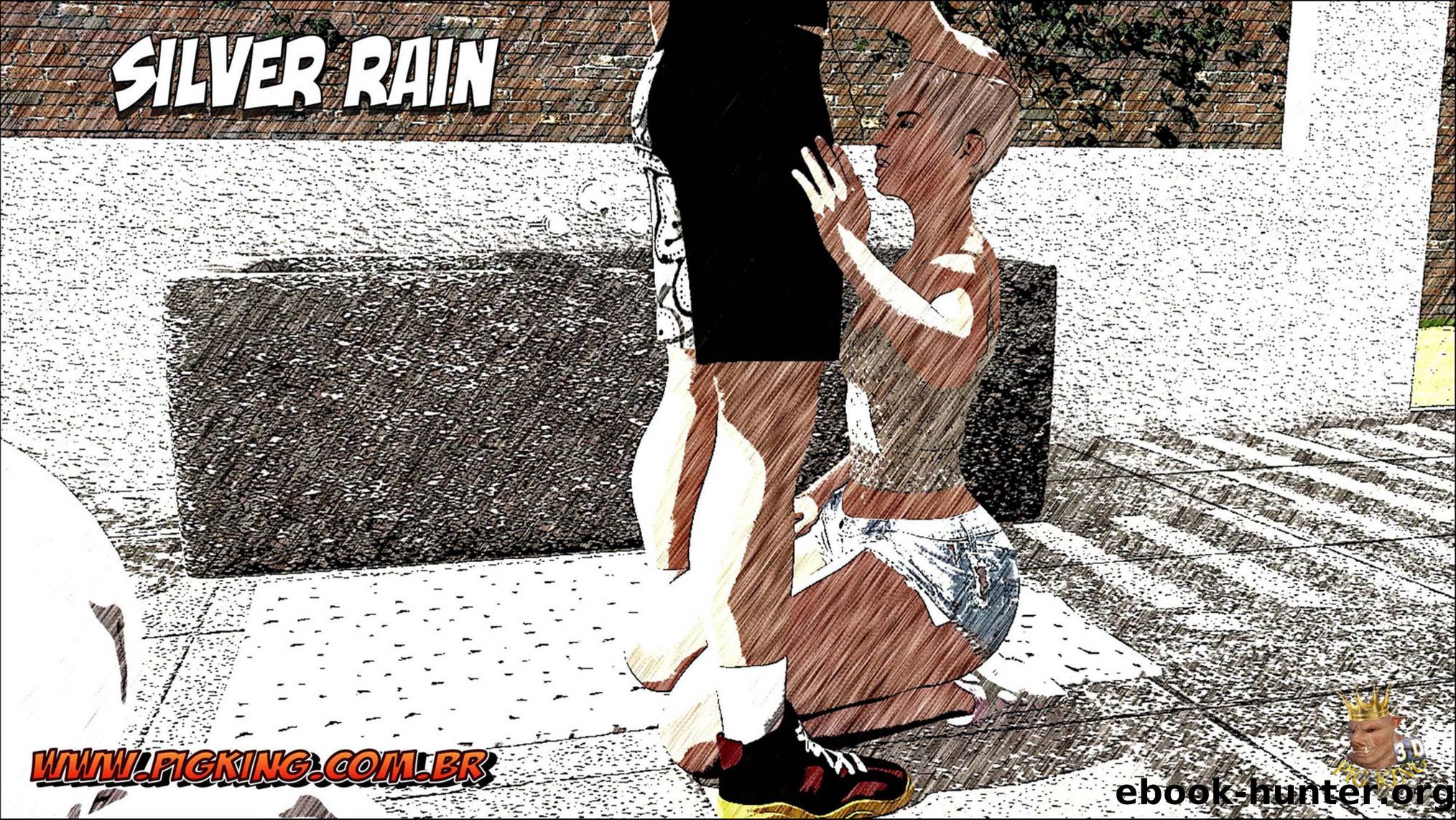 Silver Rain by Unknown