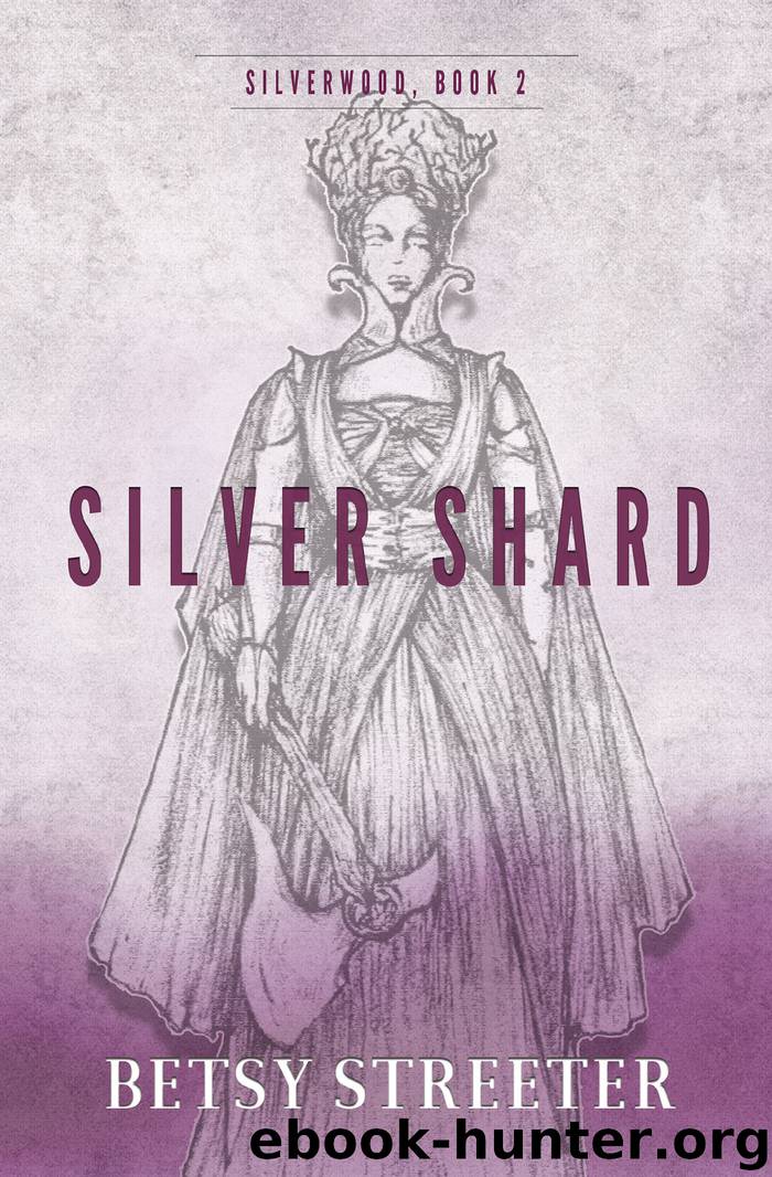 Silver Shard by Betsy Streeter