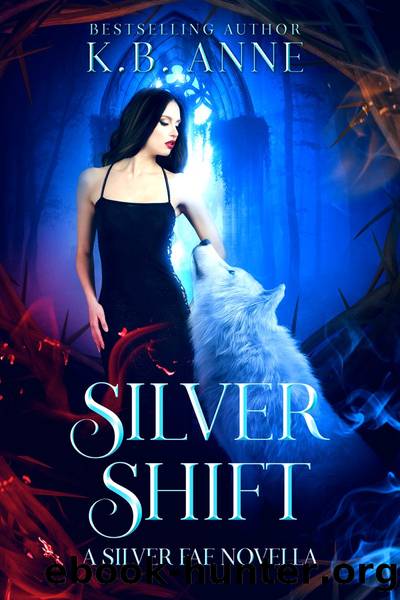 Silver Shift by KB ANNE