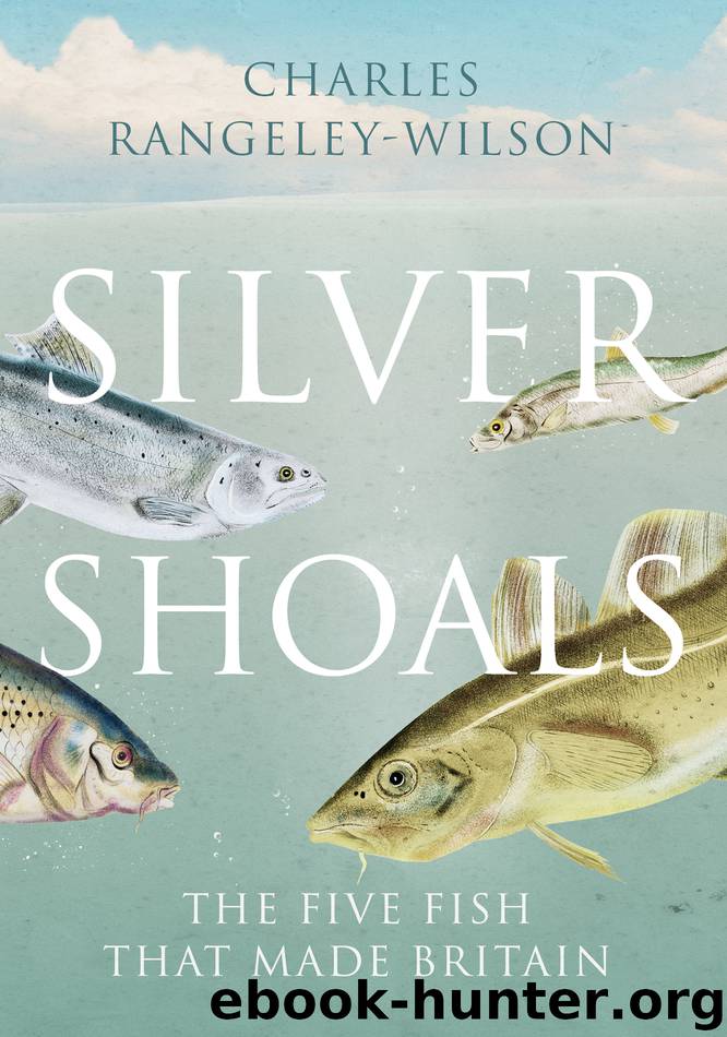 Silver Shoals by Charles Rangeley-Wilson