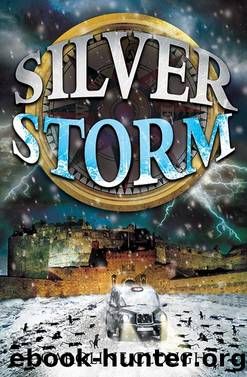 Silver Storm by Caroline Clough