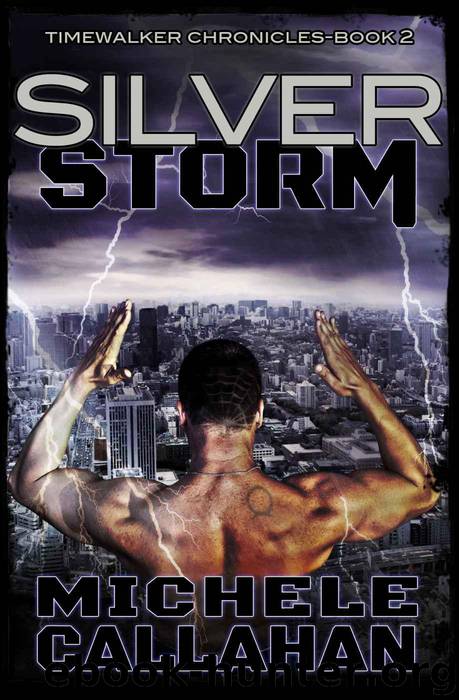 Silver Storm: Timewalker Chronicles, Book 2 by Callahan Michele