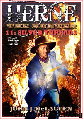 Silver Threads by John J. McLaglen