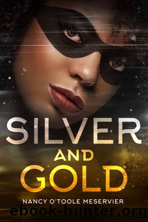 Silver and Gold (Red and Black Book 3) by Nancy O'Toole Meservier
