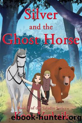 Silver and the Ghost Horse by Koos Verkaik