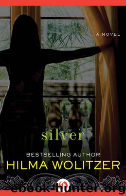 Silver by Hilma Wolitzer