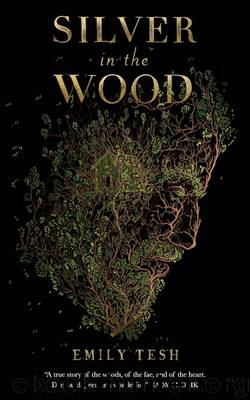 Silver in the Wood by Emily Tesh