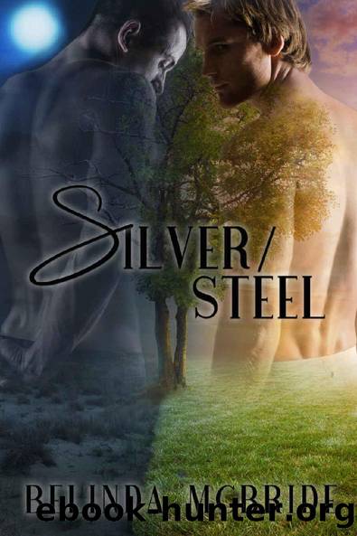 Silver-Steel by Belinda McBride