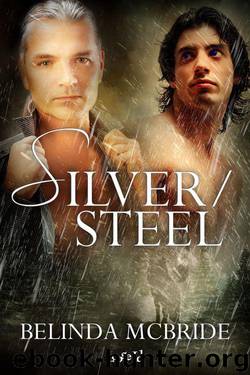 Silver/Steel (Arcada) by Belinda McBride