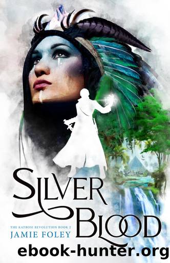 Silverblood by Jamie Foley