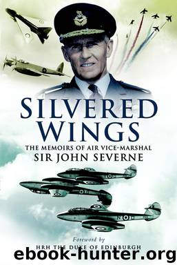 Silvered Wings by John Severne