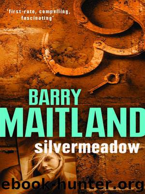 Silvermeadow by Barry Maitland
