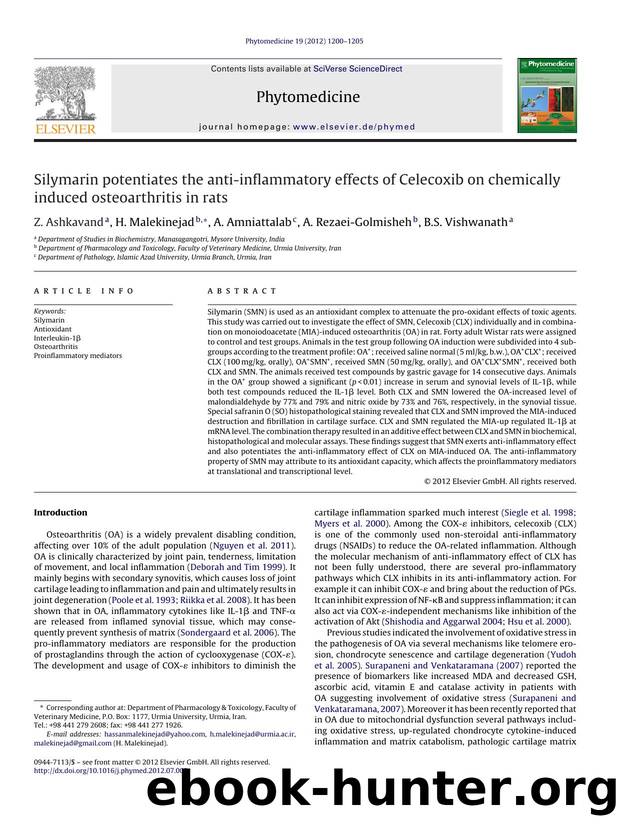 Silymarin potentiates the anti-inflammatory effects of Celecoxib on chemically induced osteoarthritis in rats by Z. Ashkavand