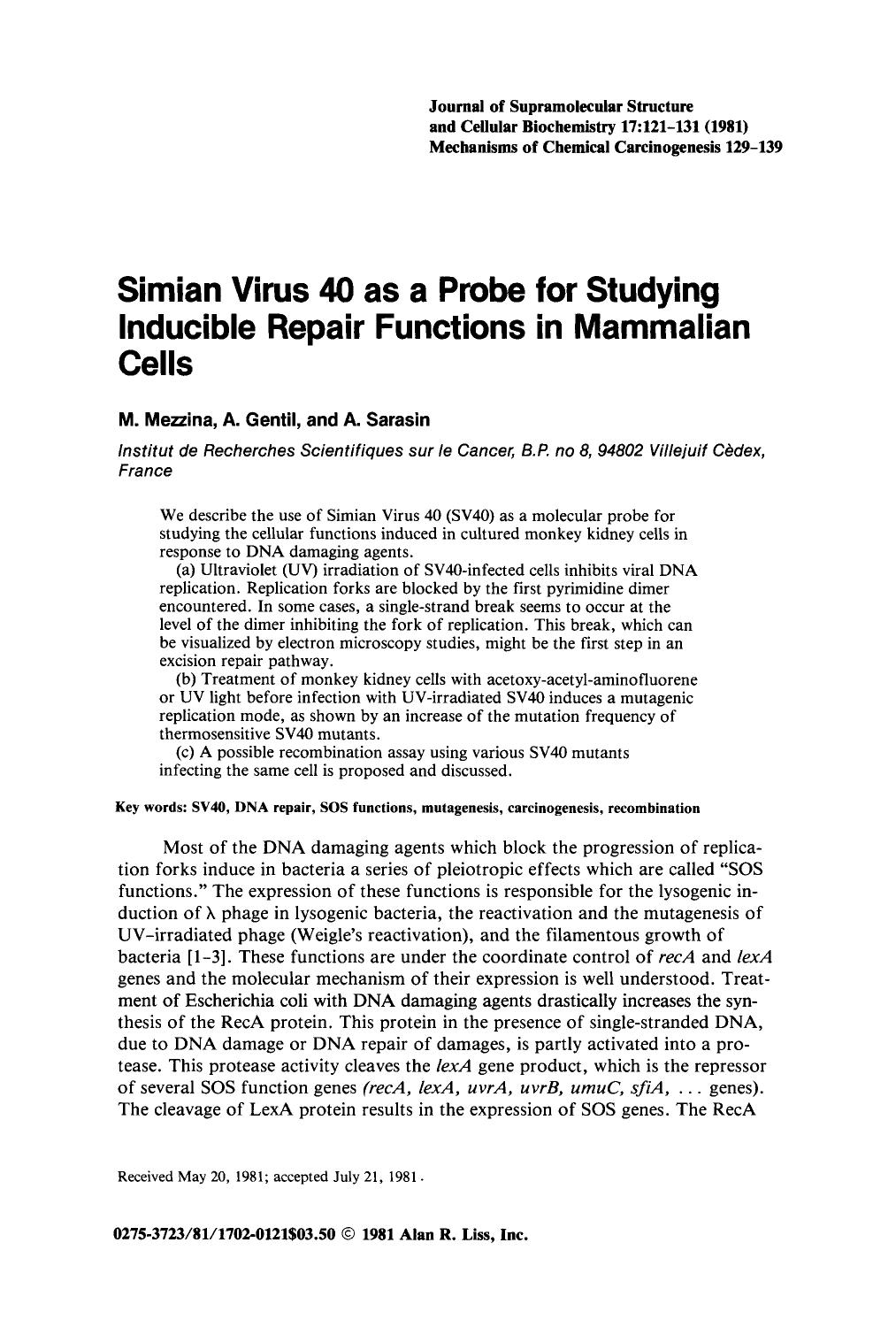 Simian virus 40 as a probe for studying inducible repair functions in mammalian cells by Unknown