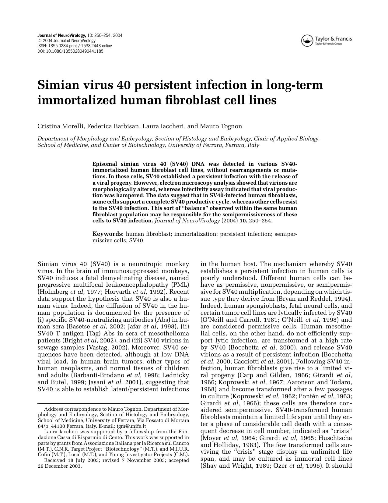 Simian virus 40 persistent infection in long-term immortalized human fibroblast cell lines by Unknown