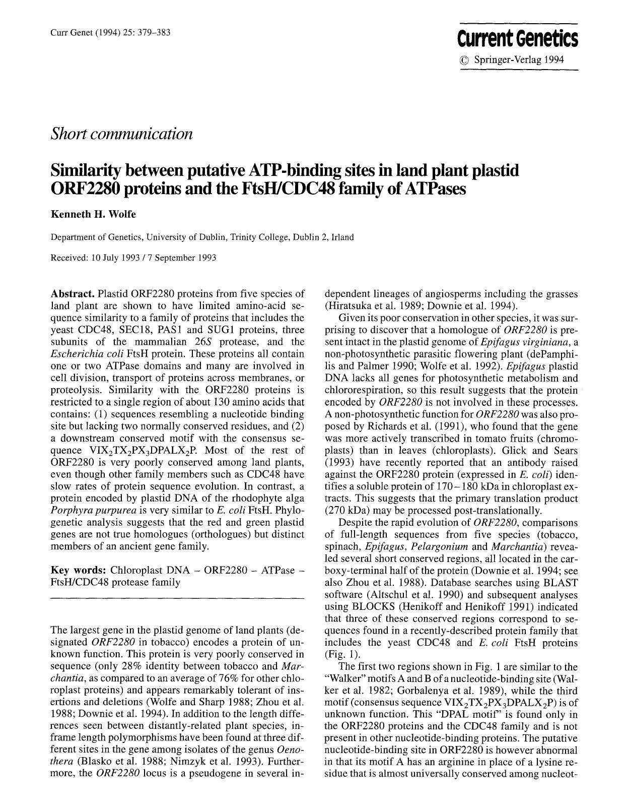 Similarity between putative ATP-binding sites in land plant plastid ORF2280 proteins and the FtsHCDC48 family of ATPases by Unknown
